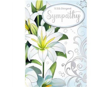 C50 OPEN SYMPATHY SILVERLINE 12S