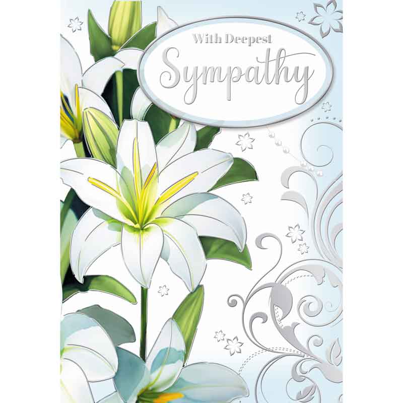 C50 OPEN SYMPATHY SILVERLINE 12S