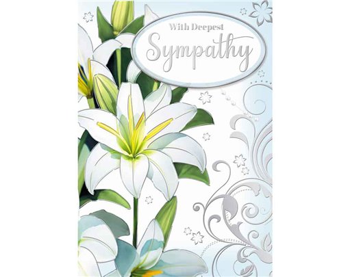 C50 OPEN SYMPATHY SILVERLINE 12S