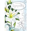 C50 OPEN SYMPATHY SILVERLINE 12S