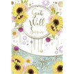 C50 GET WELL FEMALE SILVERLINE E/DAY 12S