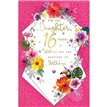 C75 AGE 16 DAUGHTER BIRTHDAY KINGFISHER 6S
