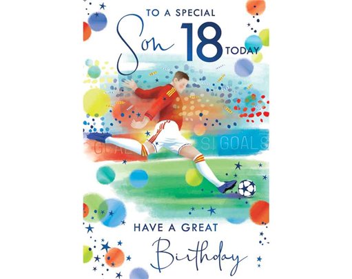 C75 AGE 18 SON BIRTHDAY KINGFISHER 6S