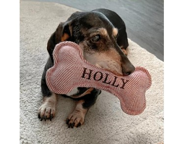Squeaky Dog Toy