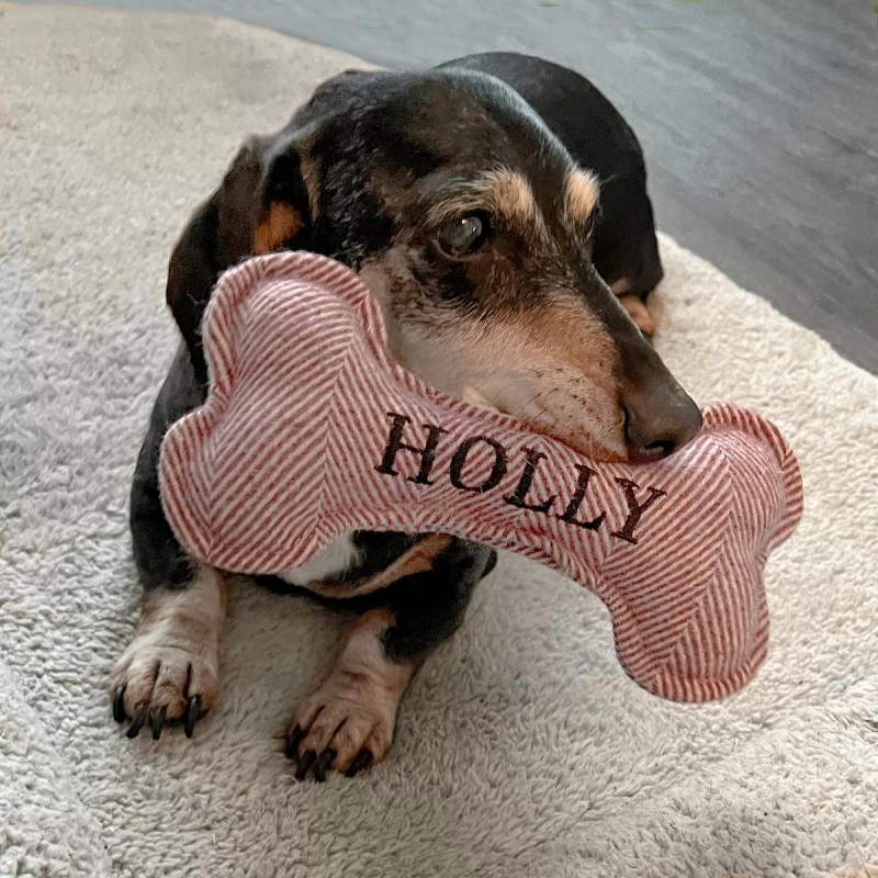 Squeaky Dog Toy