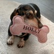 Squeaky Dog Toy