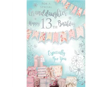 C75 AGE 13 GRANDDAUGHTER BIRTHDAY KINGFISHER 6S