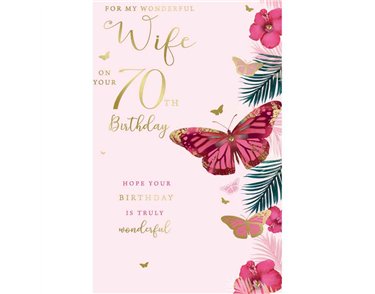 C75 AGE 70 WIFE BIRTHDAY KINGFISHER 6S