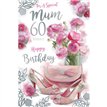 C75 AGE 60 MUM BIRTHDAY KINGFISHER 6S