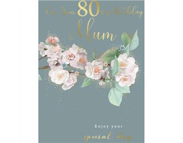 C75 AGE 80 MUM BIRTHDAY KINGFISHER 6S