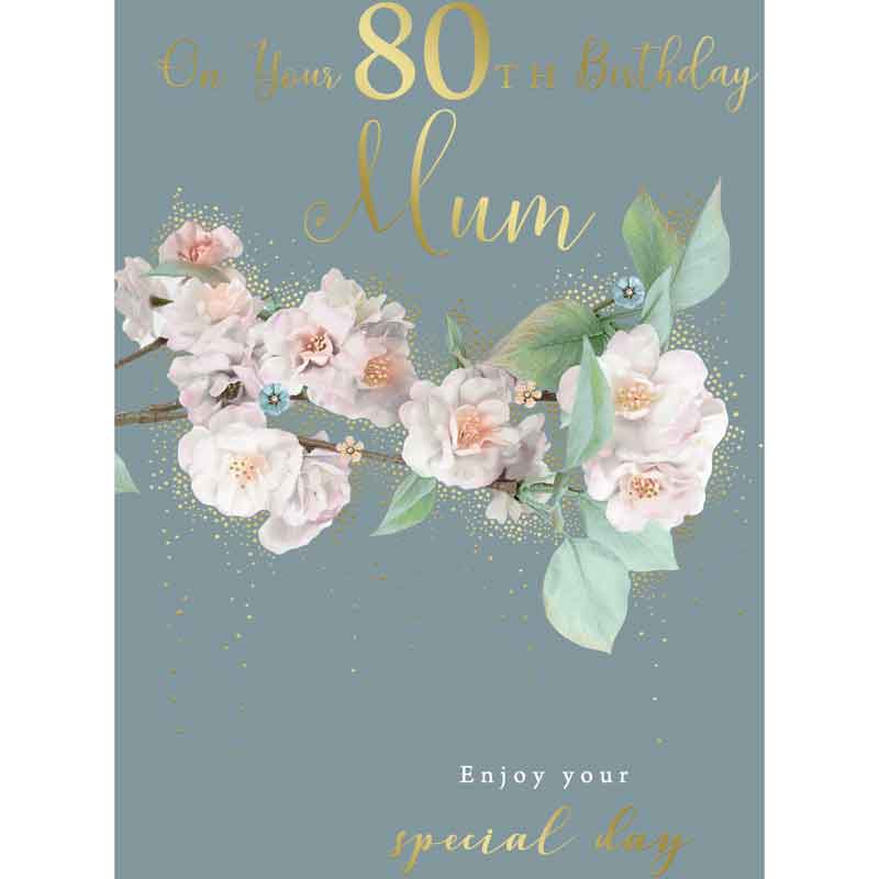 C75 AGE 80 MUM BIRTHDAY KINGFISHER 6S