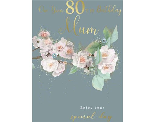 C75 AGE 80 MUM BIRTHDAY KINGFISHER 6S