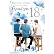 C75 AGE 18 GRANDSON BIRTHDAY KINGFISHER 6S