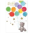 C50 CUTE MALE BIRTHDAY SIMON ELVIN 6S