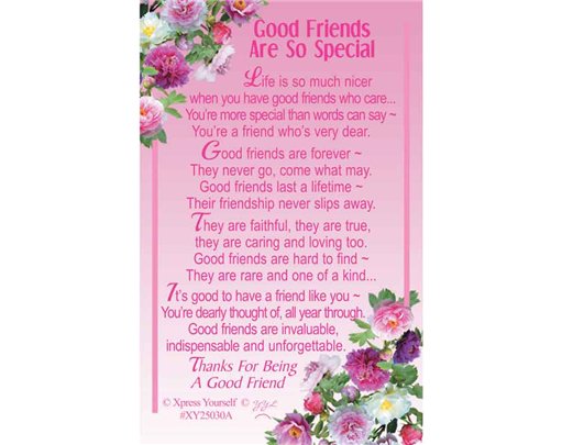 C25 GOOD FRIENDS ARE SO SPECIAL KEEPSAKE CARD 6S