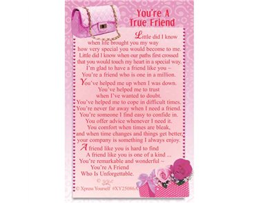 C25 YOU'RE A TRUE FRIEND KEEPSAKE CARD 6S