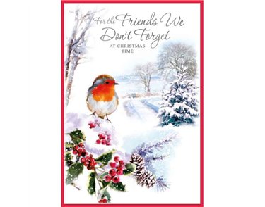 C50 ROBIN FRIENDS WE DON'T FORGET ELVIN XMAS 6S