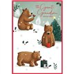 C50 CUTE MALE GREAT GRANDSON ELVIN XMAS 6S