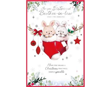 C75 CUTE SISTER & BROTHER IN LAW ELVIN XMAS 6S