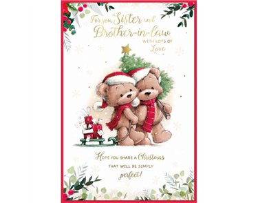 C75 CUTE SISTER & BROTHER IN LAW ELVIN XMAS 6S