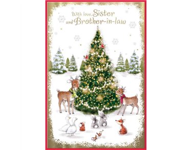 C75 CUTE SISTER & BROTHER IN LAW ELVIN XMAS 6S