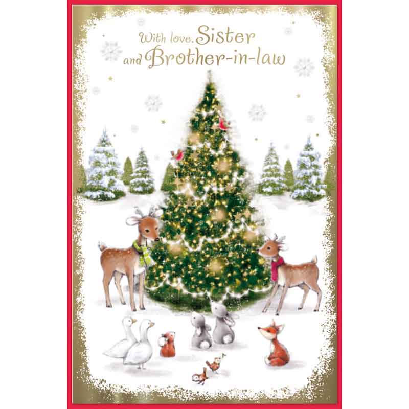 C75 CUTE SISTER & BROTHER IN LAW ELVIN XMAS 6S