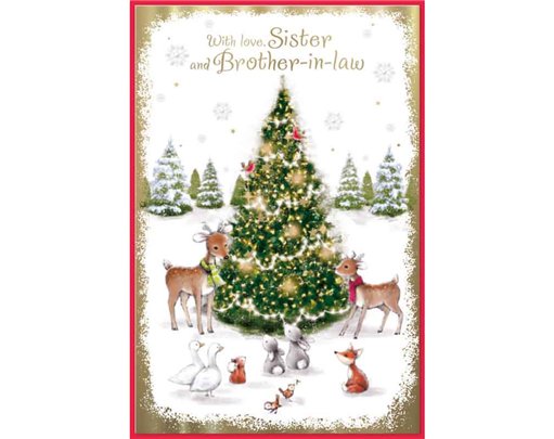 C75 CUTE SISTER & BROTHER IN LAW ELVIN XMAS 6S