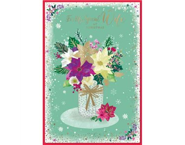 C50 CONTEMP FEMALE WIFE ELVIN XMAS 6S