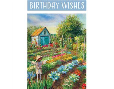 C50 ALLOTMENT SCARECROW BIRTHDAY CARD 6S