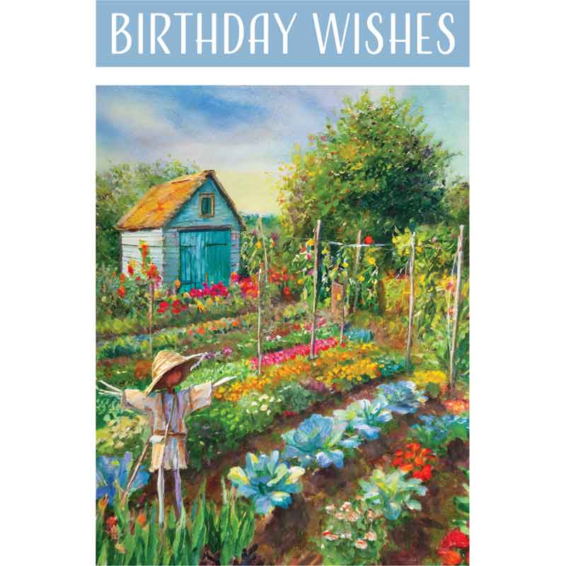 C50 ALLOTMENT SCARECROW BIRTHDAY CARD 6S