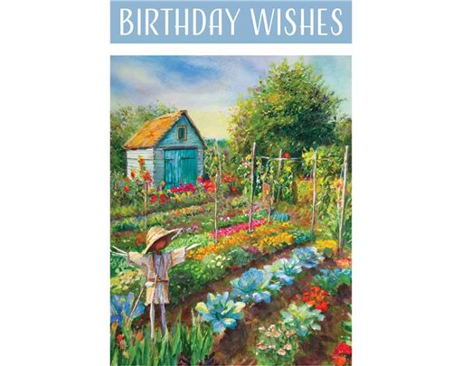 C50 ALLOTMENT SCARECROW BIRTHDAY CARD 6S
