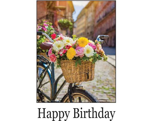 C50 BICYCLE OF FLOWERS BIRTHDAY CARD 6S
