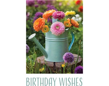C50 WATERING CAN OF FLOWERS BIRTHDAY CARD 6S