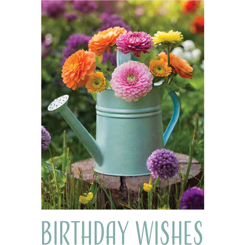 C50 WATERING CAN OF FLOWERS BIRTHDAY CARD 6S