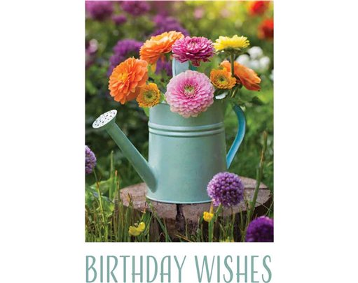 C50 WATERING CAN OF FLOWERS BIRTHDAY CARD 6S
