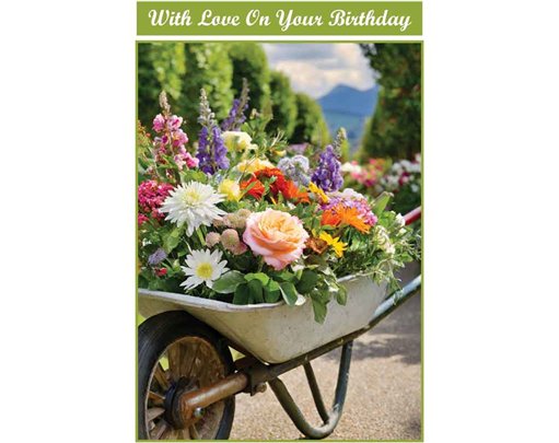 C50 WHEELBARROW OF FLOWERS BIRTHDAY CARD 6S