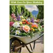 C50 WHEELBARROW OF FLOWERS BIRTHDAY CARD 6S