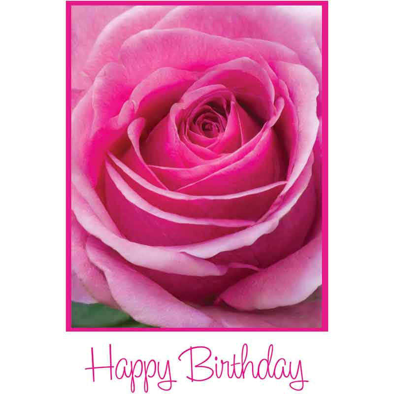 C50 PINK ROSE BIRTHDAY CARD 6S