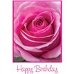 C50 PINK ROSE BIRTHDAY CARD 6S