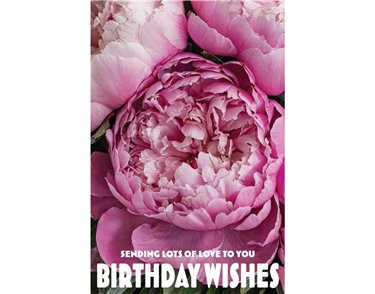 C50 PEONIE FLOWERS BIRTHDAY CARD 6S