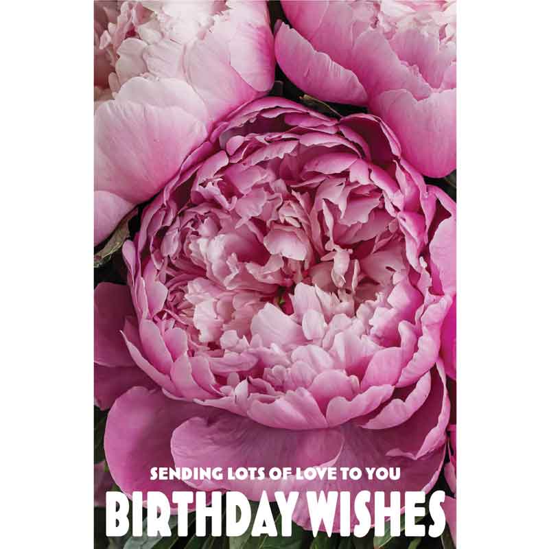 C50 PEONIE FLOWERS BIRTHDAY CARD 6S