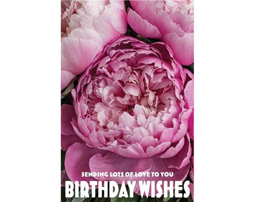 C50 PEONIE FLOWERS BIRTHDAY CARD 6S
