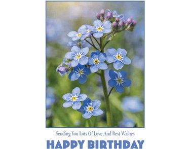 C50 FORGET-ME-NOTS BIRTHDAY CARD 6S