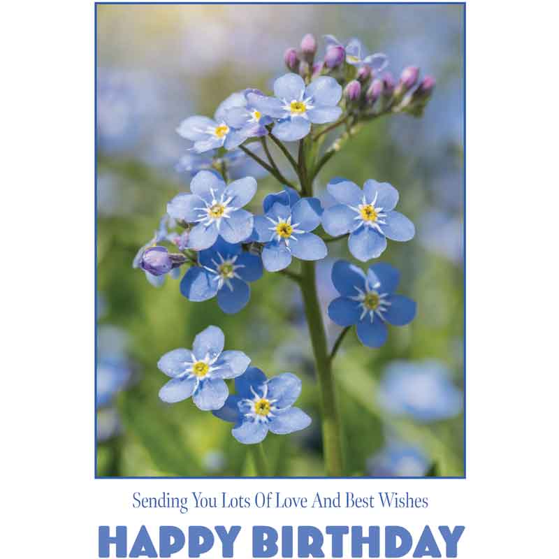 C50 FORGET-ME-NOTS BIRTHDAY CARD 6S