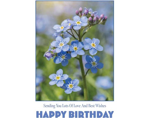 C50 FORGET-ME-NOTS BIRTHDAY CARD 6S