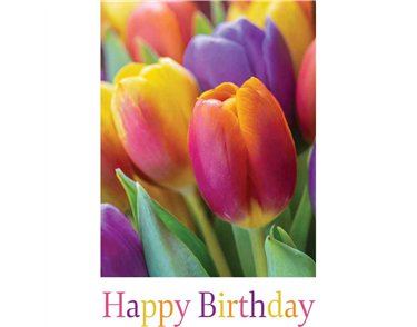 C50 TULIPS BIRTHDAY CARD 6S