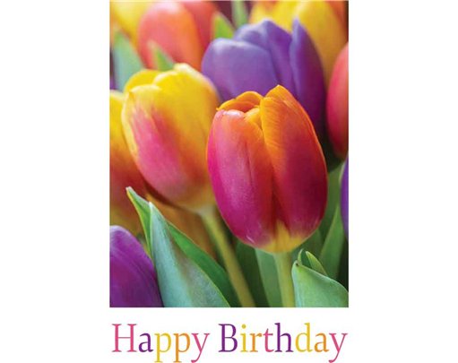 C50 TULIPS BIRTHDAY CARD 6S