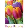 C50 TULIPS BIRTHDAY CARD 6S