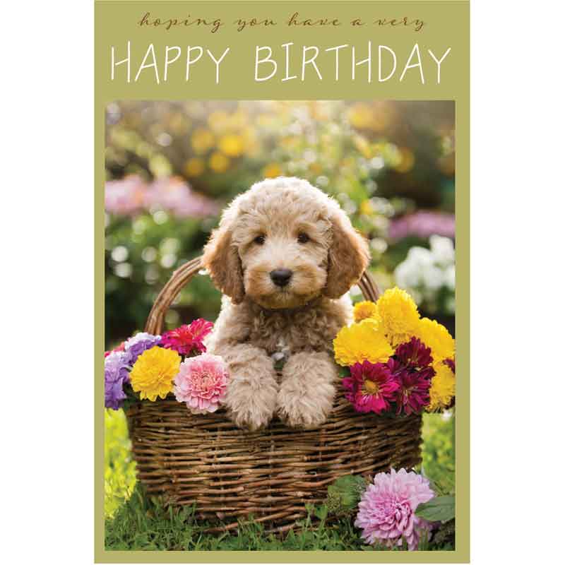 C50 COCKAPOO IN A BASKET BIRTHDAY CARD 6S