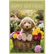 C50 COCKAPOO IN A BASKET BIRTHDAY CARD 6S